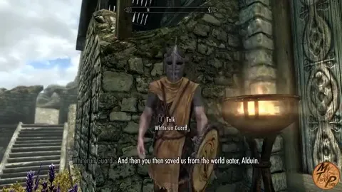 The Whiterun Guard Remembers You
