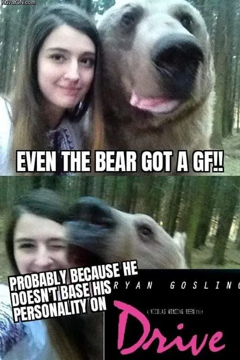 Even the Bear Has a Girlfriend