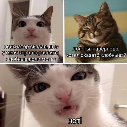 Злобные доли мозга