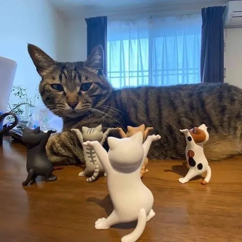 Коты танцуют перед огромным котом