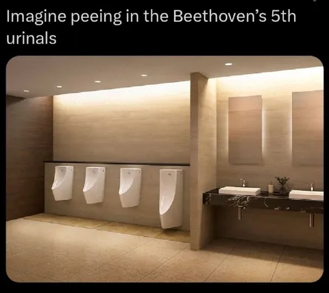 Beethoven's Fifth Urinals