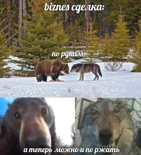 Бизнес-сделка по рукам