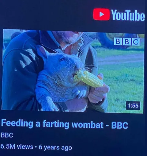 Feeding a Farting Wombat