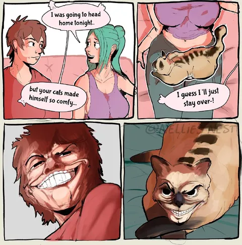 Cats Make Him Stay Over