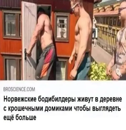 Норвежские бодибилдеры в деревне