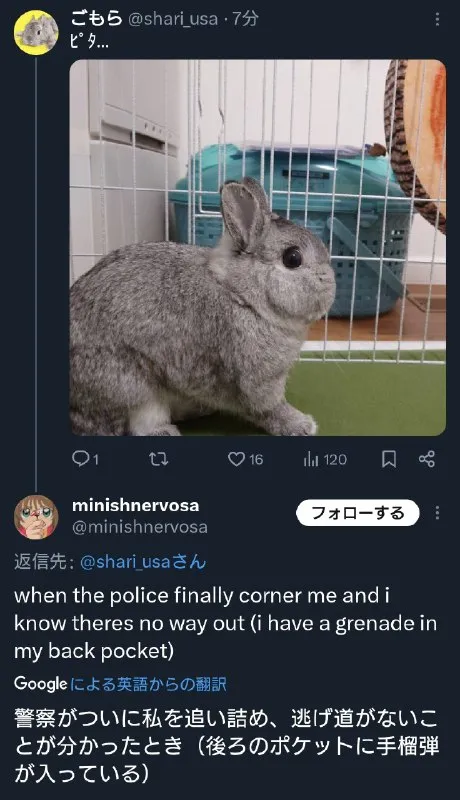 Rabbit With a Grenade
