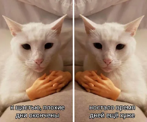 Плохие дни закончились