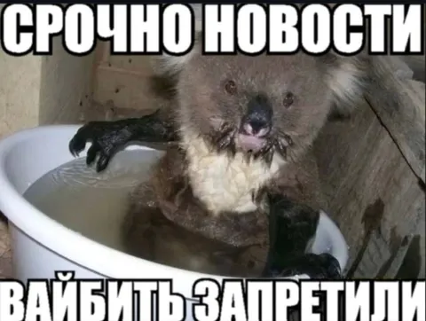 Срочно новости: вайбить запретили