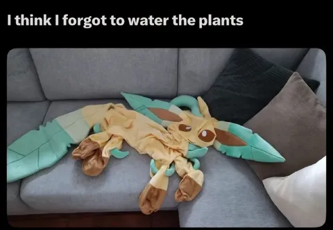 Forgot to Water the Plants