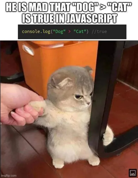 Cat Mad About JavaScript