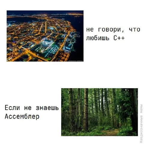 Любишь C++ — иди в лес