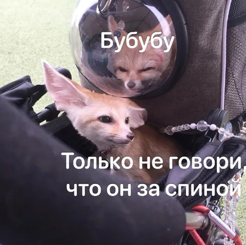 Только не говори, что он за спиной