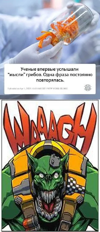 Мысли грибов — WAAAGH!