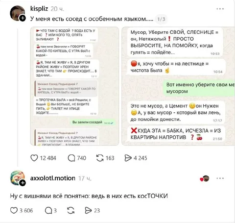 Сосед с особенным языком
