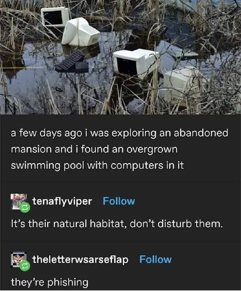 Computers in Their Natural Habitat