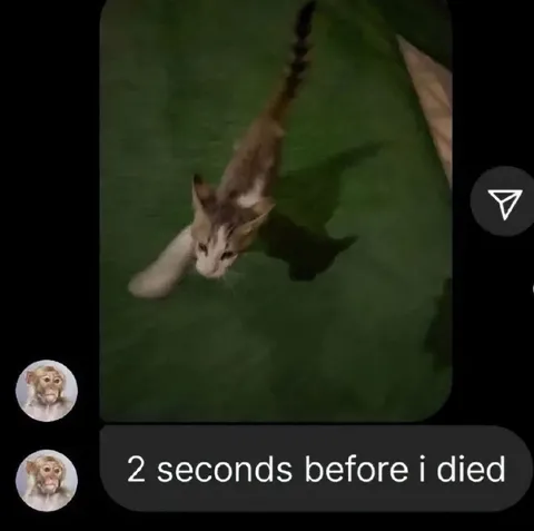 Two Seconds Before I Died