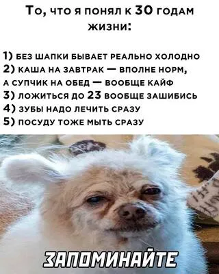 Что я понял к 30 годам