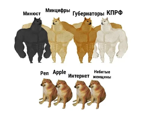 Сильные и слабые доги
