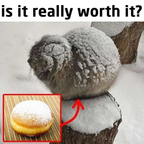 Is It Really Worth It?
