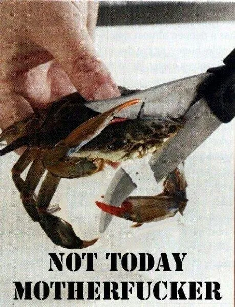 Crab Says Not Today