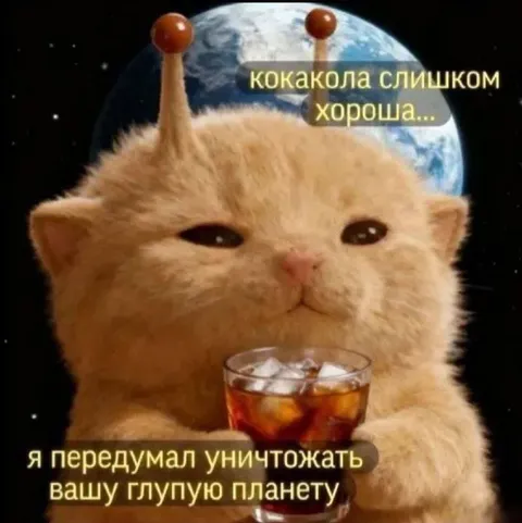 Инопланетный кот передумал уничтожать планету