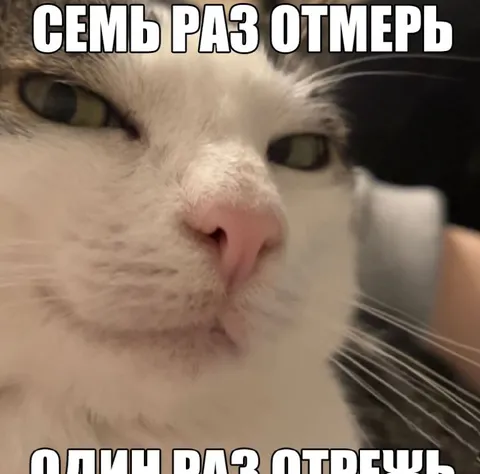 Семь раз отмерь, один раз отрежь