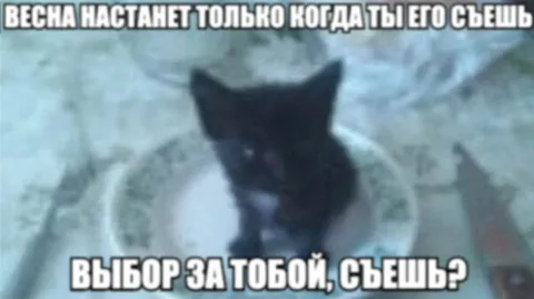 Съешь кота — наступит весна