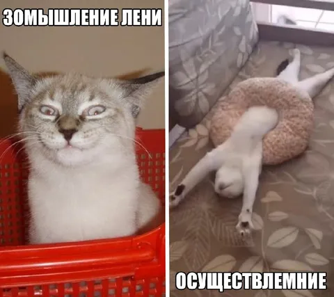 Замышление и осуществление лени