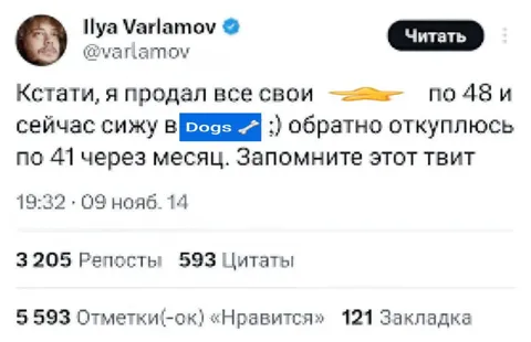 Продал всё и купил Dogs