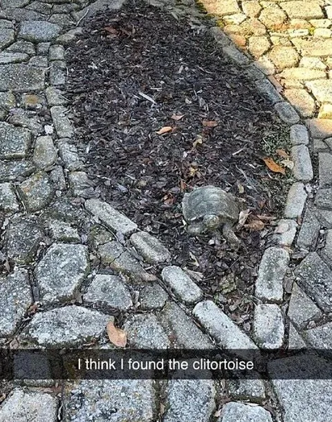 Clitort-oise Found on Pavement
