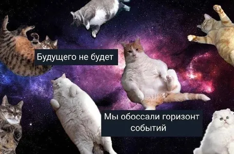 Коты обоссали горизонт событий