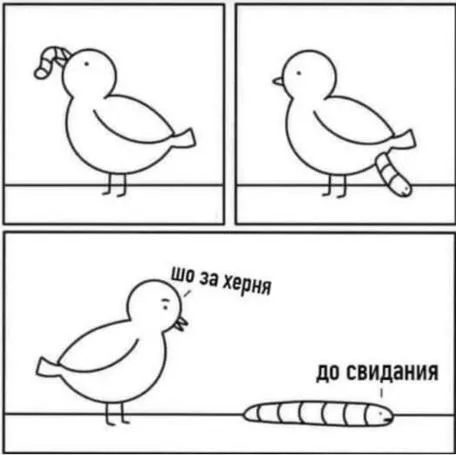 Шо за херня — до свидания