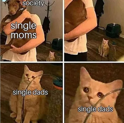 Single Moms vs Single Dads