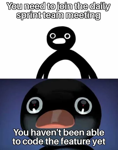 Daily Sprint Meeting Panic