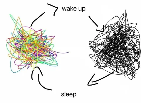Wake Up Sleep Brain