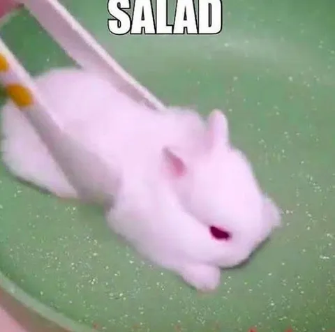 Rabbit Labeled Salad