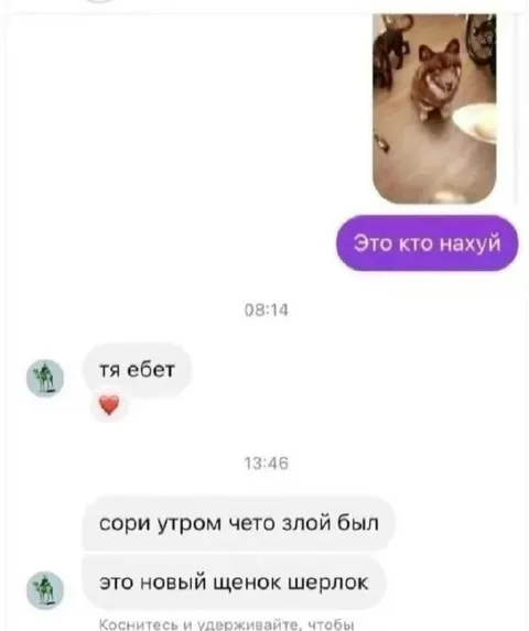 Новый щенок Шерлок