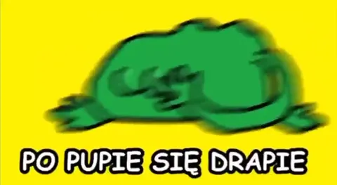 Żaba wraca do domu i gra na gitarze
