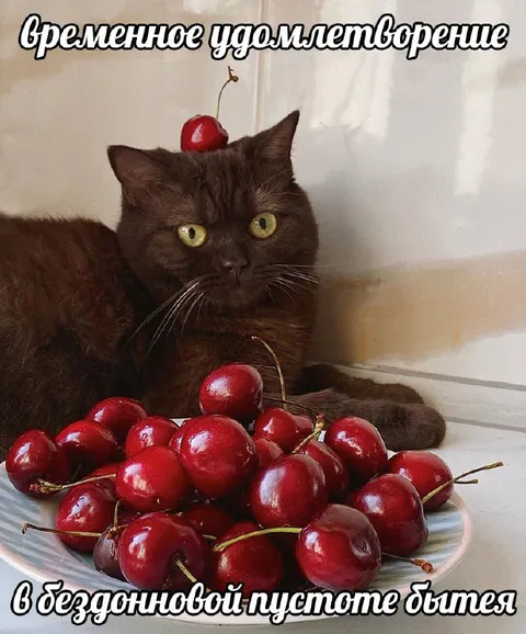 Временное удовлетворение бытия