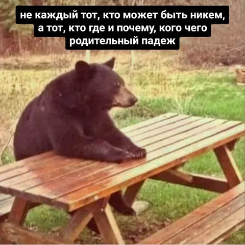 Медведь за сложной грамматикой