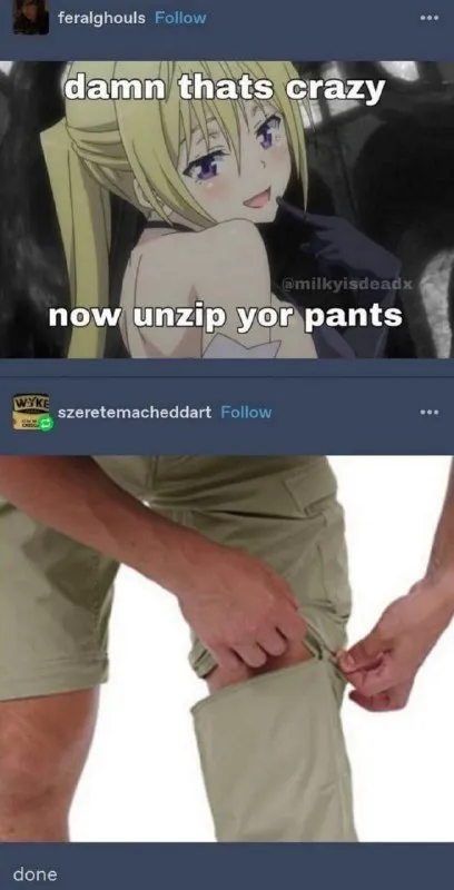 Now Unzip Yor Pants