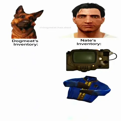 Dogmeat's Inventory vs Nate's