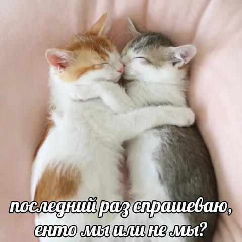 Последний раз спрашиваю
