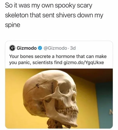 Spooky Scary Skeleton Panic