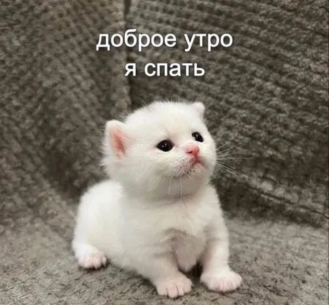 Доброе утро, я спать