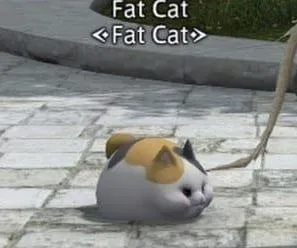 Fat Cat Rolling on Pavement