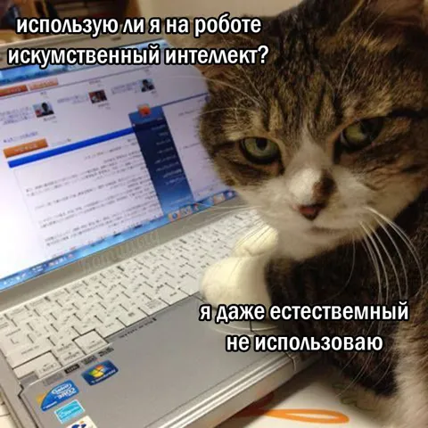 Кот не использует интеллект