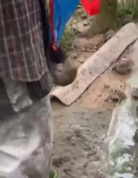 Лягушки атакуют сапоги