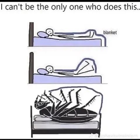 Blanket Cocoon Sleeping Position