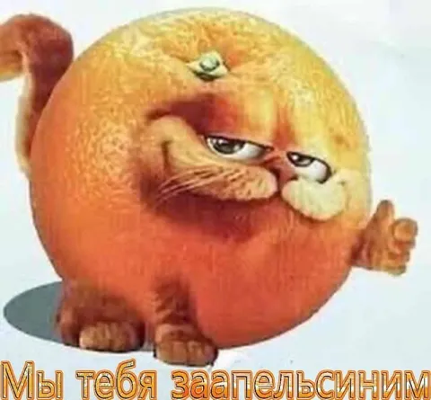 Мы тебя заапельсиним